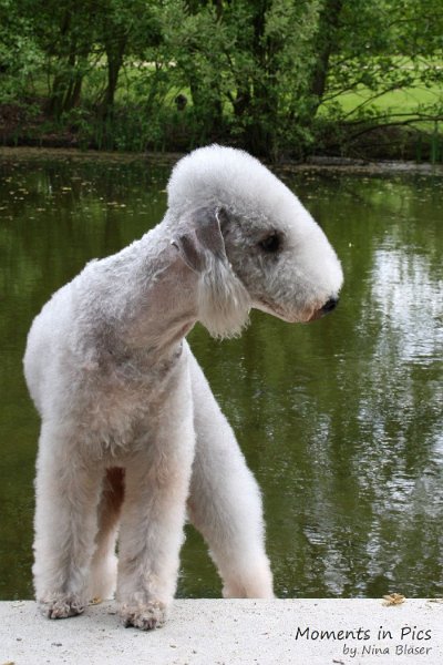 2010-05-01 Svet und Aveline (2).JPG